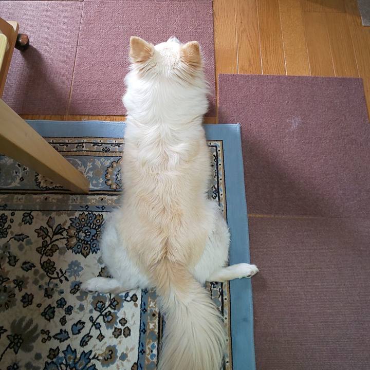 E87650d9 81a5 4e2b 9139 05608134a98d 1620550482186