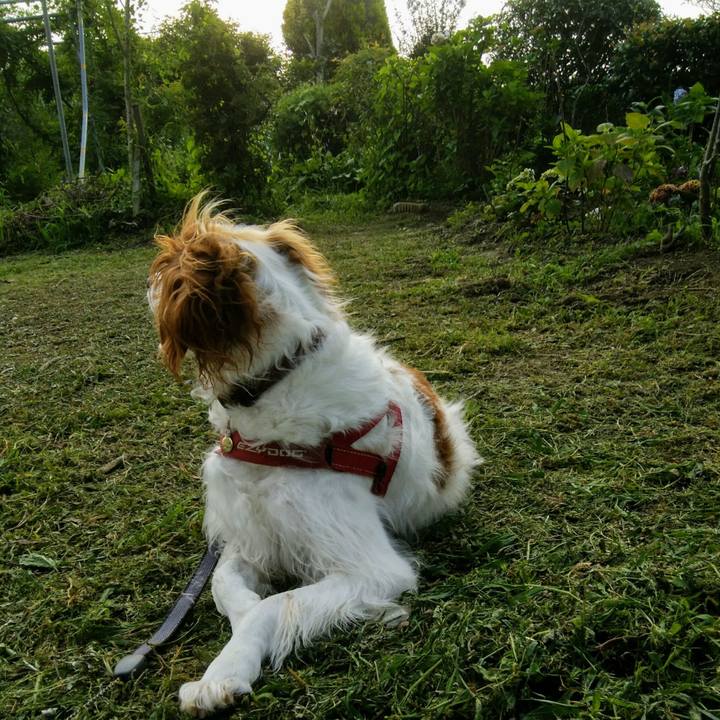 E876703c 9d2c 4eb0 8050 89881425053b 1563365333770