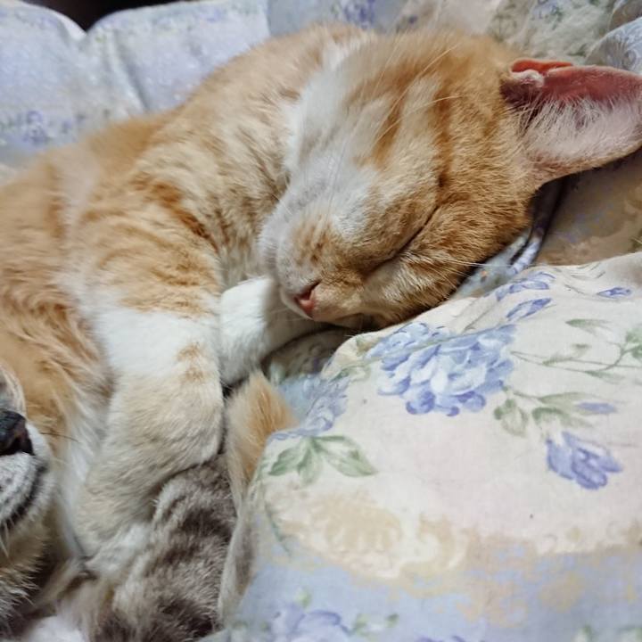 E876d5d9 ca31 4994 a65c b8aba2cc95fc 1589631224264