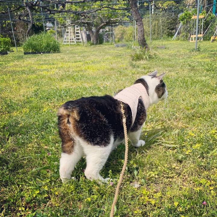 E8777195 6675 4ff8 9c82 993c6bf33e33 1619501551706