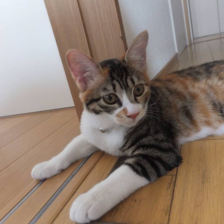 E8779126 a37c 4103 b9ee 14db6e305166 1631504126613