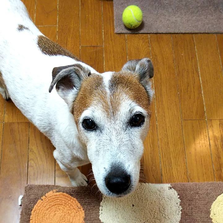 E877a2b4 748b 4a48 a915 da13fa5ab5b4 1548281412194