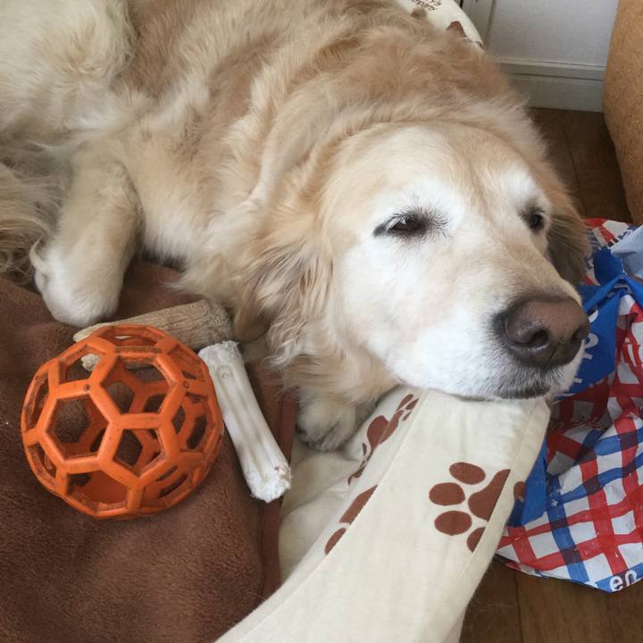 E877ae1d 20f9 453a 8e27 412de4a02c89 1555312037640