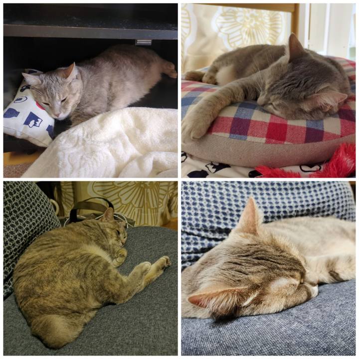 E87818a0 e510 4984 9786 f60c92ecb0bb 1687924527021