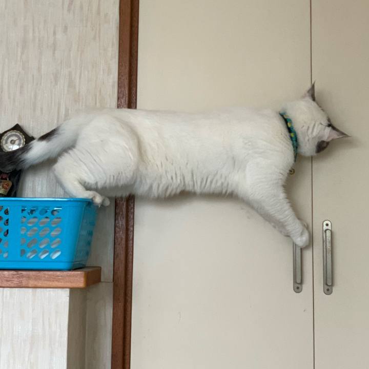 E87830f1 9282 4f38 afcf 5c04d895383f 1694045019548