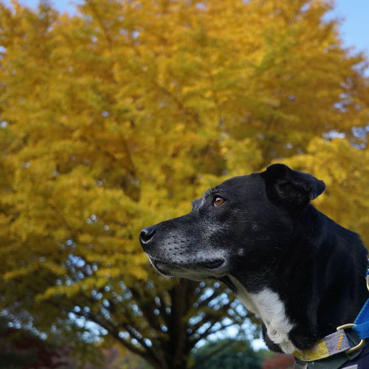 E8787fb0 504b 4e3d 83bf f4407edf7c49 1763599477943