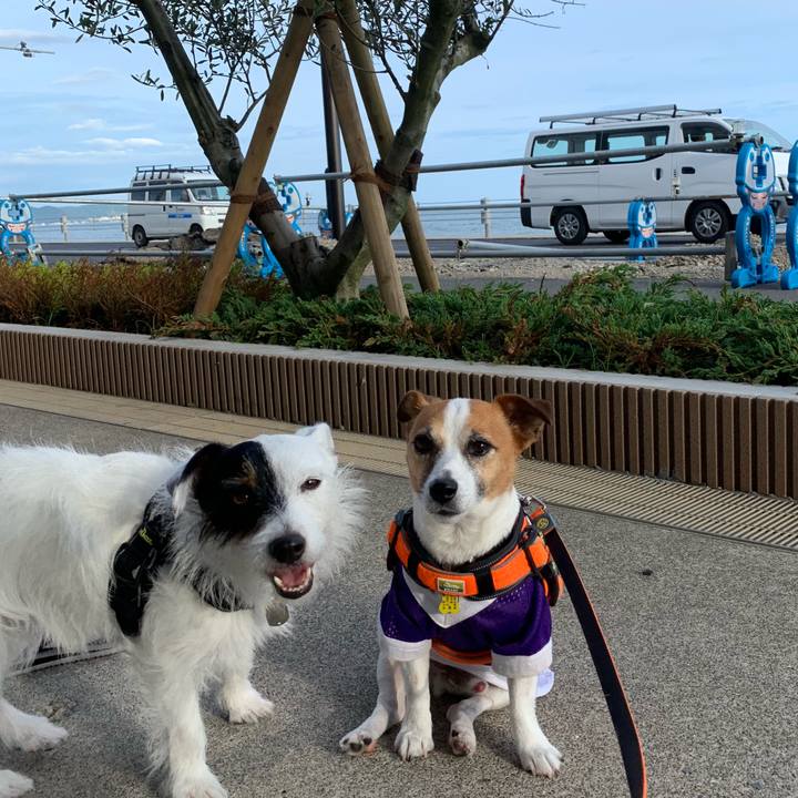 E87880e4 3e62 439e 85ac fd9140848d23 1561726274461