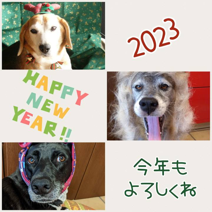 E8788bcf 82e7 49eb bda1 944bdf44787c 1672571581304