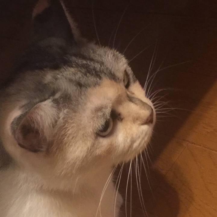 E878bc0f 2548 4ef9 9a73 2f94124e80c5 1569589666628