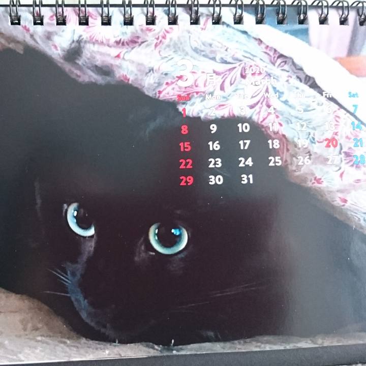 E878de14 a0db 4a9c 811e efbdac5af591 1583904928465