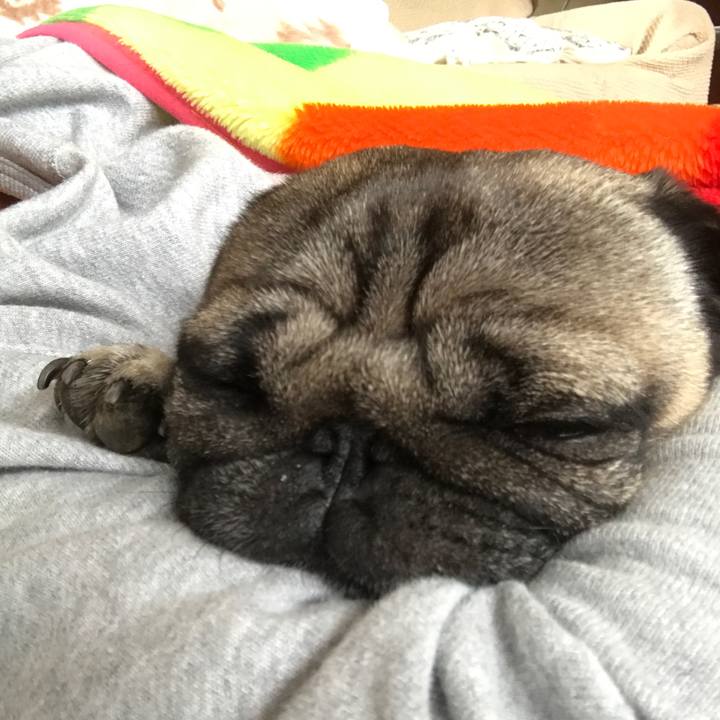 E878e066 1cab 475e 9fff 906f5eb39e6d 1509521109824