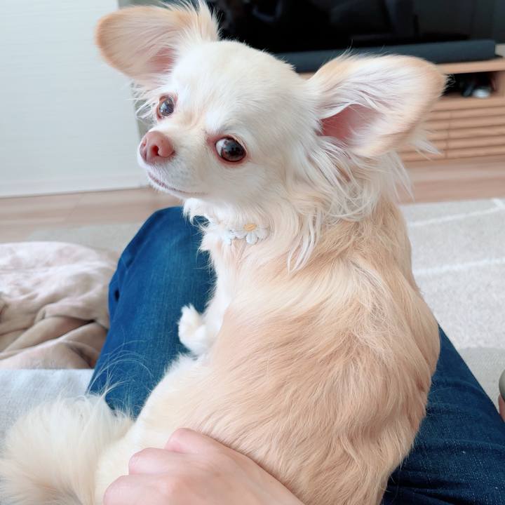 E878f061 2a08 4589 b972 f519a8c7248a 1712367251856