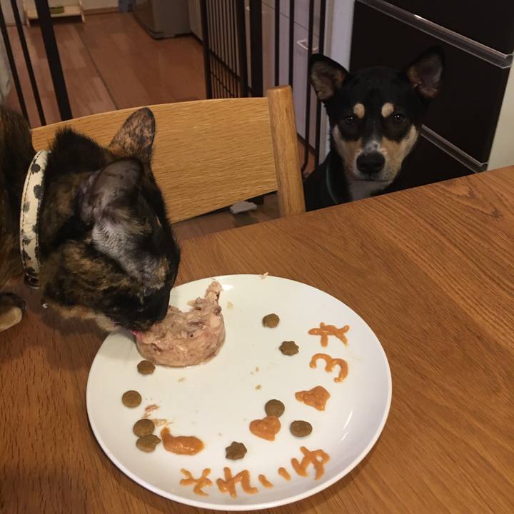 E8796bcc 2b49 4b84 8d43 ada3f97a9577 1537918301531