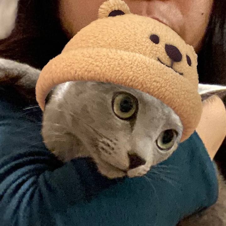 E8796e7e 9aba 4c5c af3a d2eed88be9e8 1637549027597