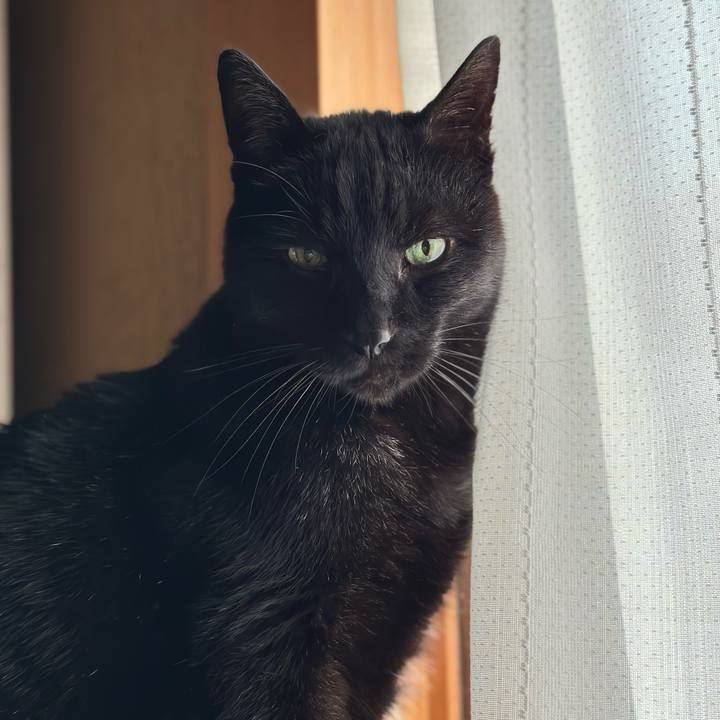 E8798058 fc1e 42f3 bff7 9c5a43f0f3d8 1674526072108