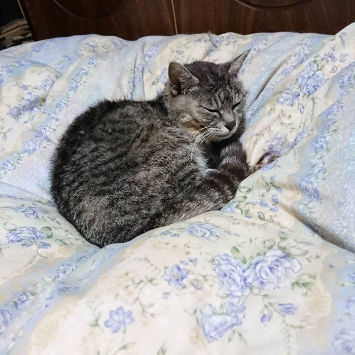 E8799daa 4159 4b45 8443 7189321da51c 1589457971802