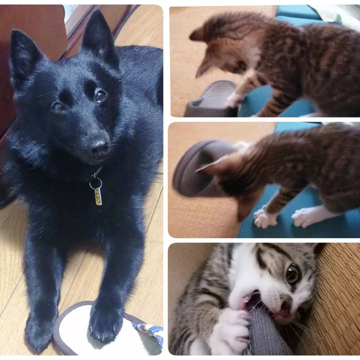 E879a561 a05f 4379 bf81 735bfe2b1412 1658802882885