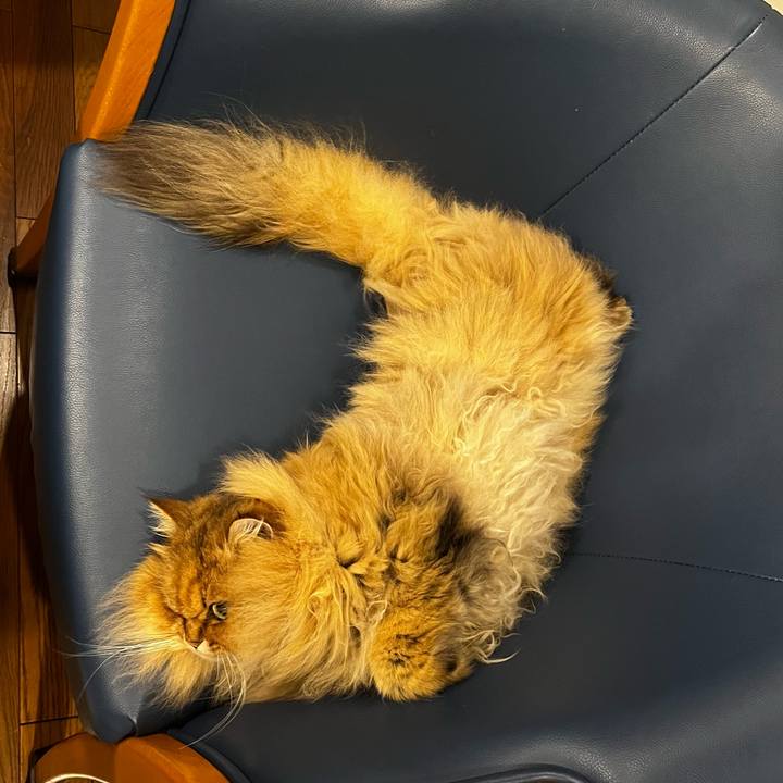 E87a1440 1c2d 4ef7 b85f 3bb6405eef17 1711021024279