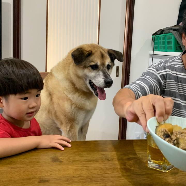 E87a1901 4a7c 4a34 8f81 bb66d05d2b7c 1626949448528