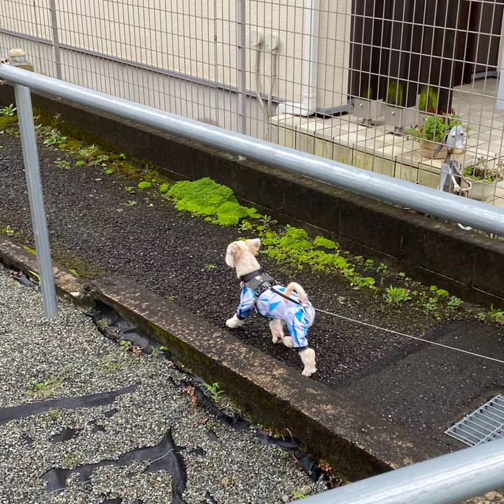 E87a1f10 8a20 4c72 a886 91890237cbcd 1594204406158