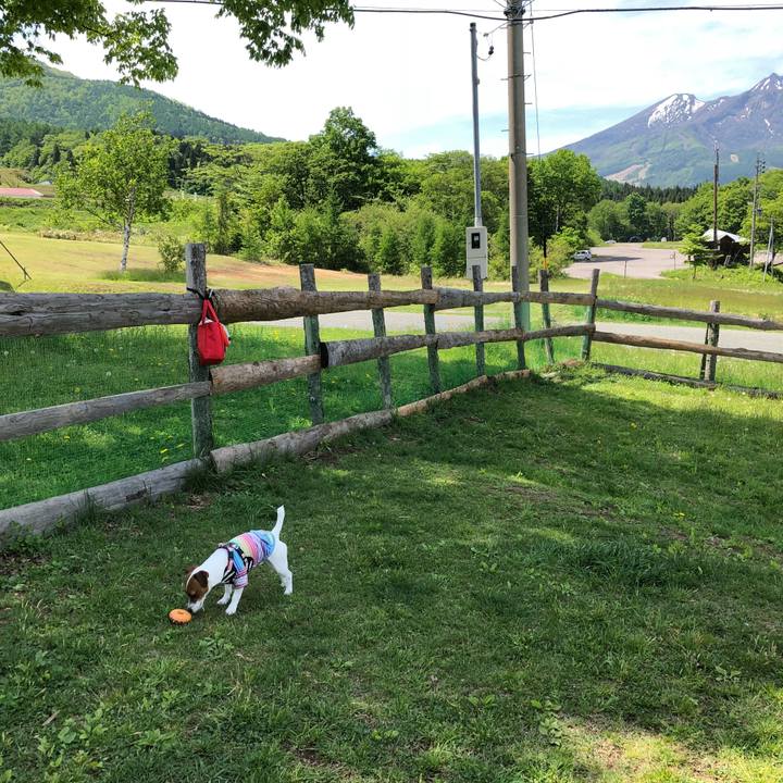 E87a3a2c 05c8 4556 82d6 947a0490ccc3 1526877061204