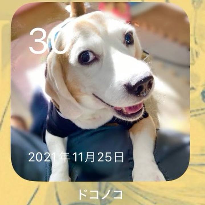 E87a6c27 d42a 4a84 92c5 37d1a2dfad2d 1701314855030