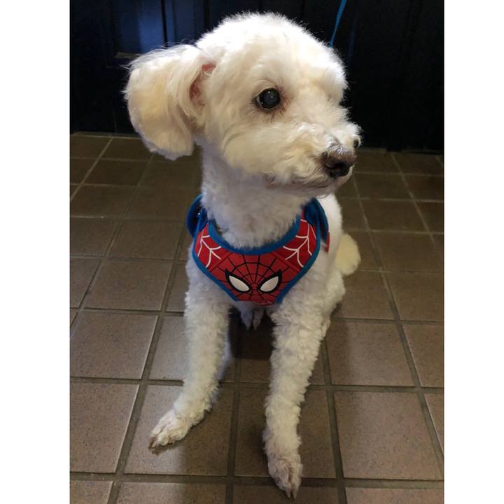 E87a6d53 524a 45a7 9ff6 e1ad9d2f7070 1537876749217