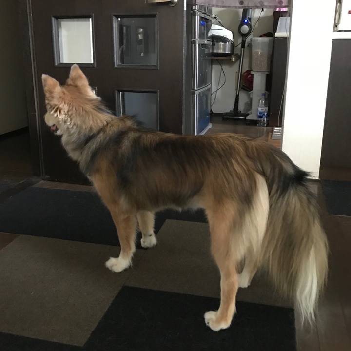 E87a7688 ddb0 4017 b853 ed7e39de3dc4 1534815743099