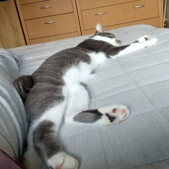 E87a7e03 d151 4ced b898 6d9ec0e3270f 1596670193880