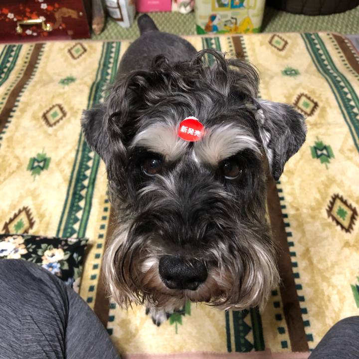 E87aa2e1 a8bc 4c7d ab88 6c78e97f45ae 1594304605247