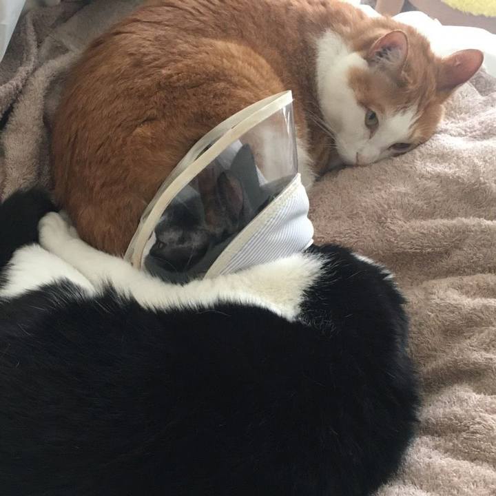 E87ac507 4364 4b1e a427 6c7c04182b49 1591605232122