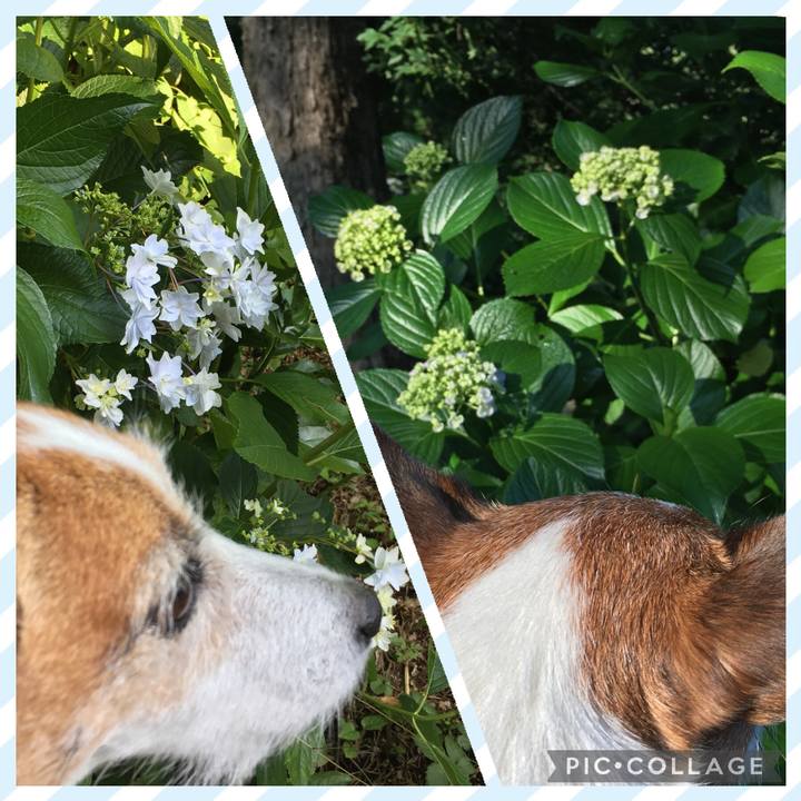 E87aca03 7795 4643 9b73 79e755748261 1655076139171