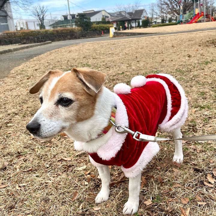 E87ad26e 299d 44ad 89c7 ff018d91040c 1703417996126