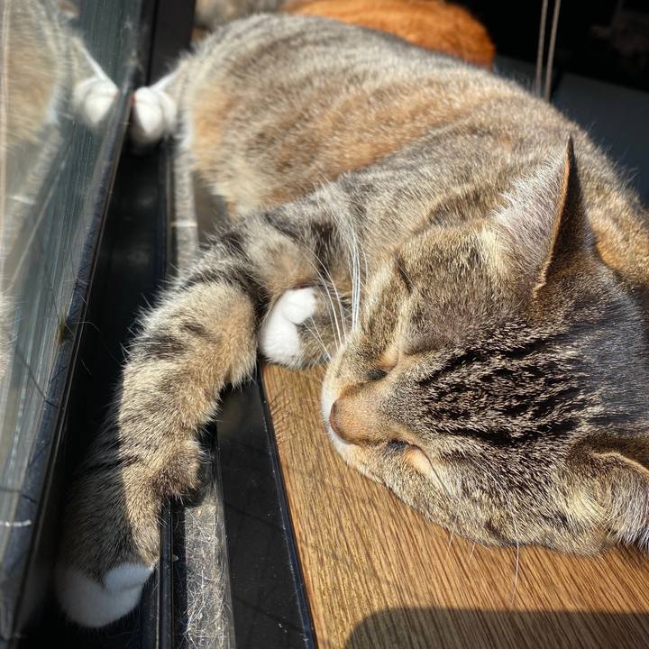 E87ae416 29f9 4ccc a354 1fd5bbe44a88 1586392332644