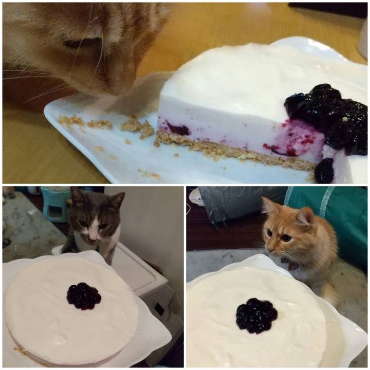 E87b171d 7edd 4c1a be25 dec55318e248 1645015535560