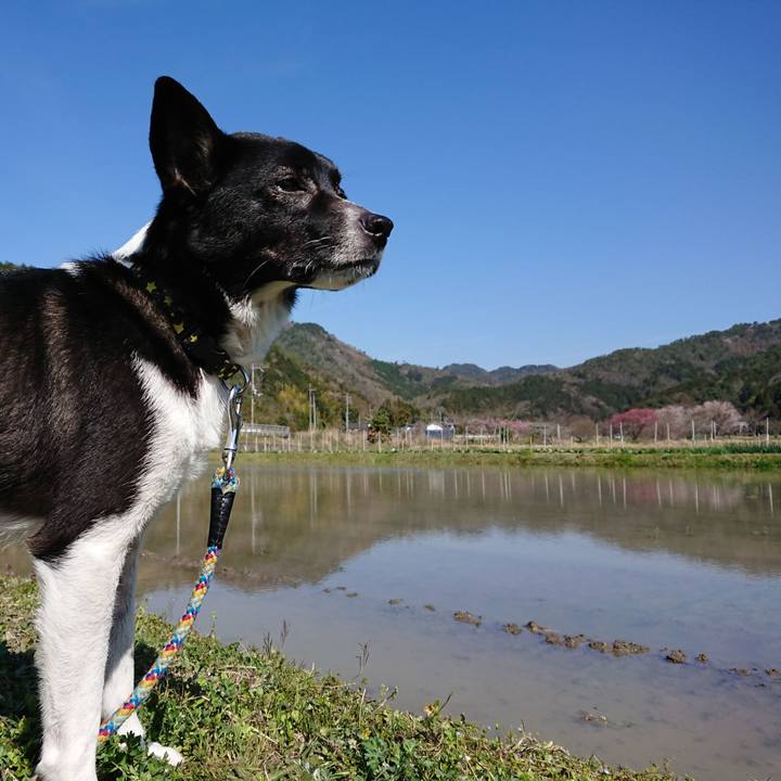 E87b2683 35b0 4c7d aabe f8d9ffc3453a 1555559407499