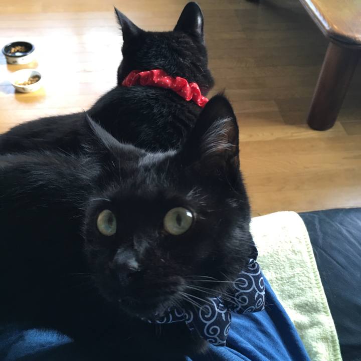 E87b45b8 d81c 452b bdee 574c343da8f5 1537051315225