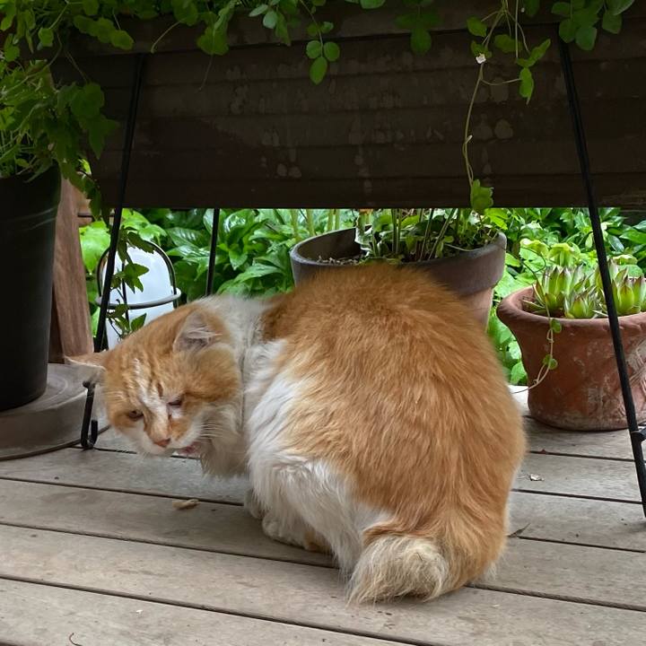 E87b5e51 d56e 463f 911f 44a93a64aae8 1649996900135