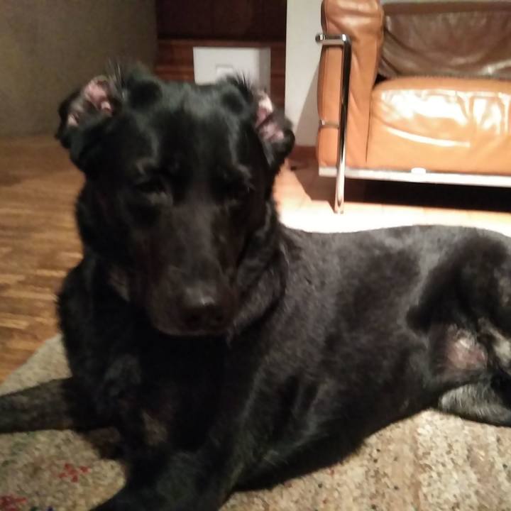 E87b77e7 8c59 4779 89a0 b52ec83ad645 1584005364425