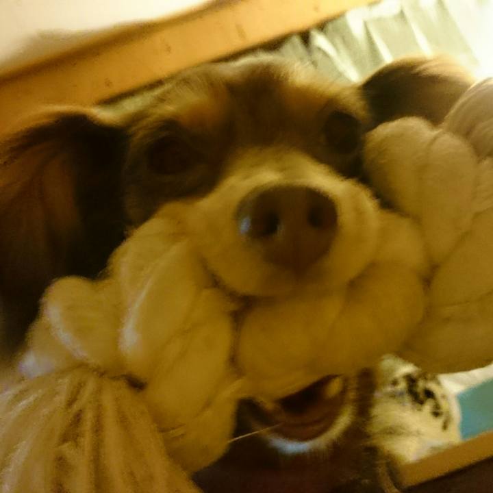 E87b7d57 56de 45b7 bbb0 8d8cb13a7db2 1510228795902