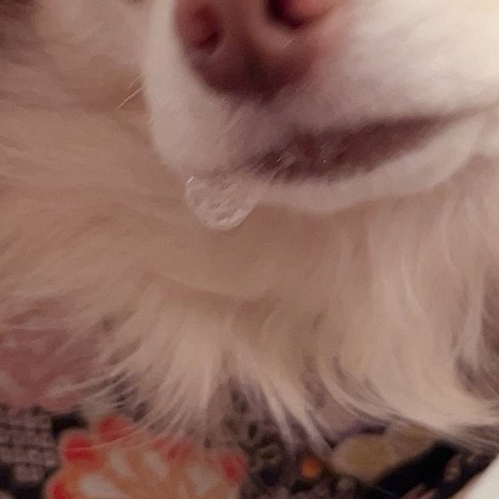 E87bd31f 1bad 4abe 9b20 12d2ed98a175 1736773261887