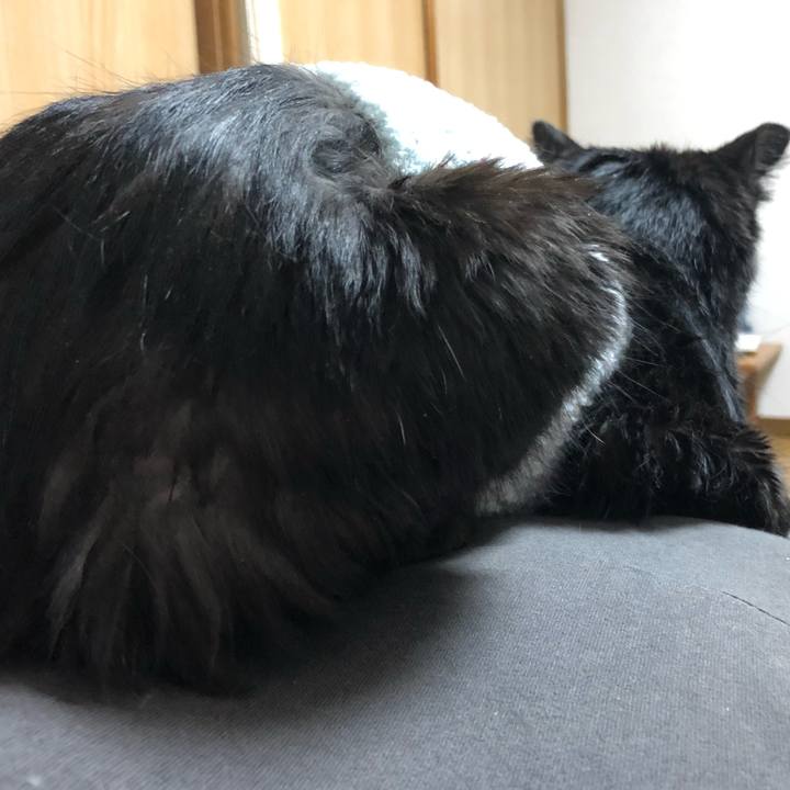 E87bdc80 2459 4d87 b626 ecffd4c89586 1644578543275