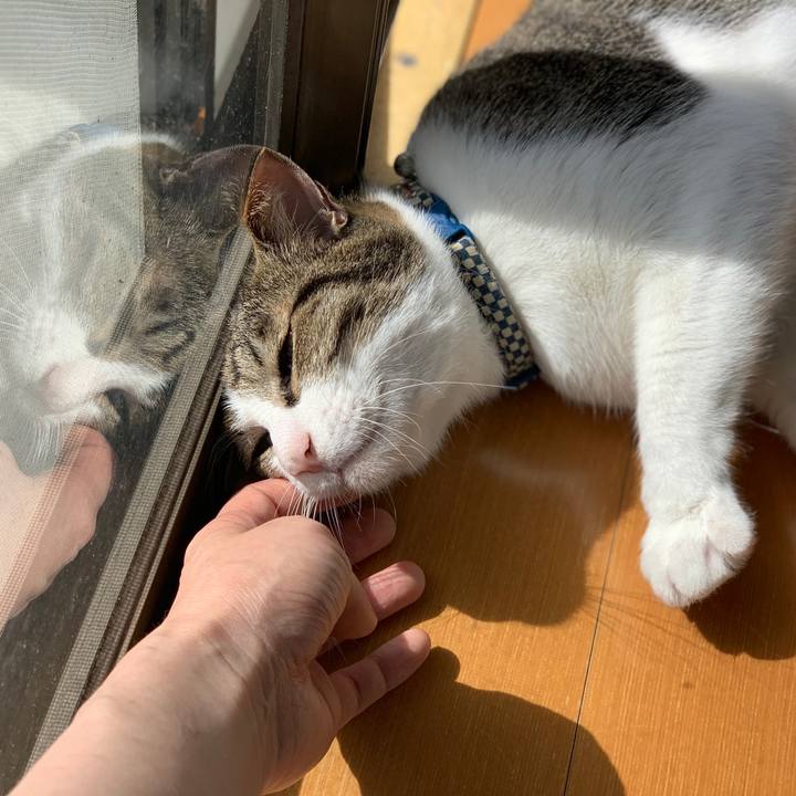 E87c0aa6 ecb7 449d 8c1a 72b167def96b 1570239515262