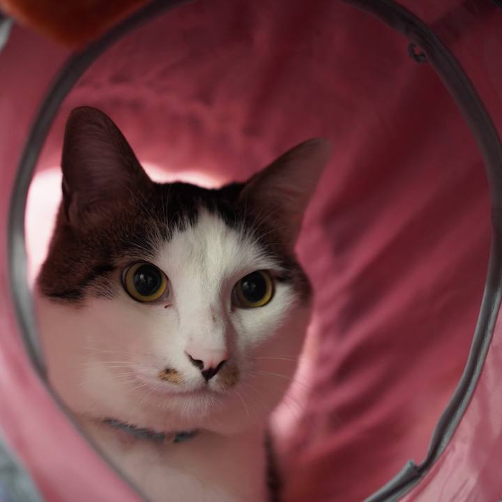 E87c1a7e 173c 4b34 9f56 ff13345fa0ef 1581465972563