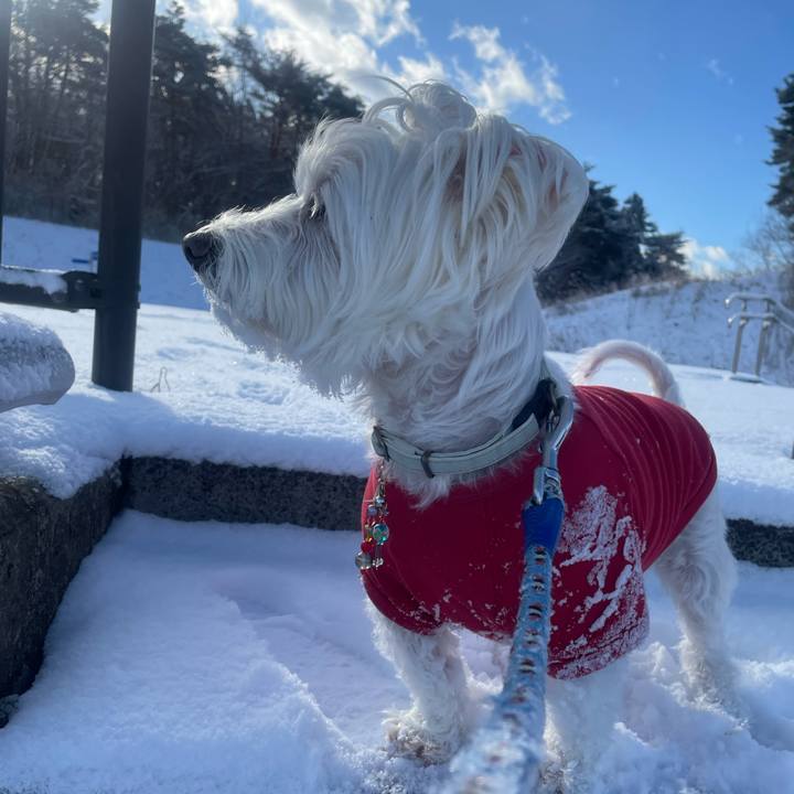 E87c478e a47f 496c 8cbe 895f37fa5bcd 1769134908742