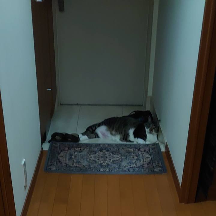 E87c486e 7c7c 42c8 bd30 b40d721c1541 1689160319766