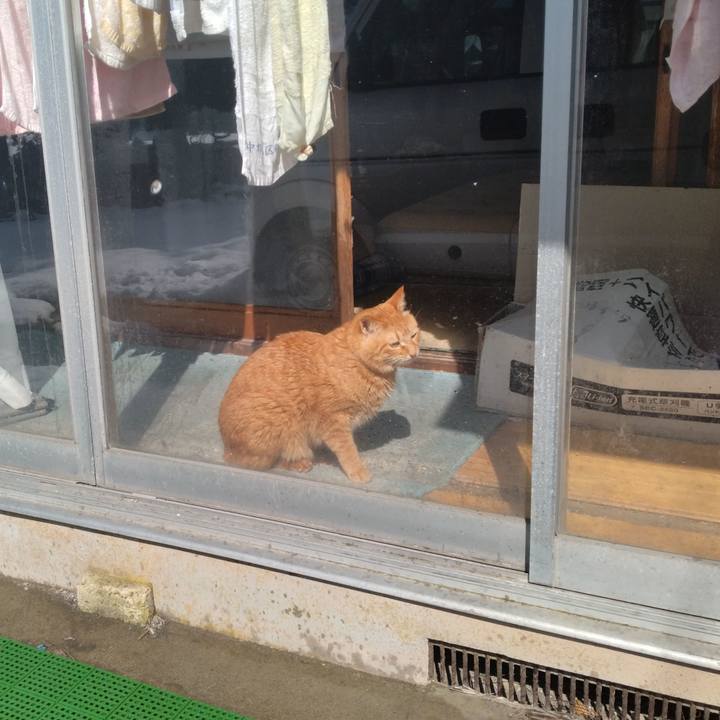 E87c6ae9 0e6e 42c5 892b b08c68219c77 1709775338767