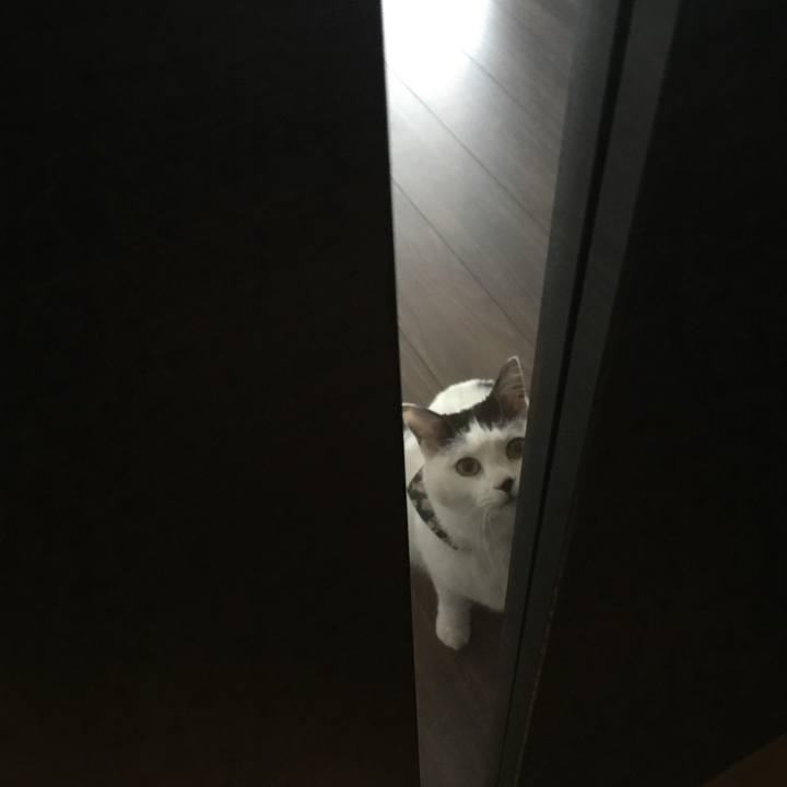 E87c7c2b f199 4581 b22f 98e77e84ffab 1516232203062