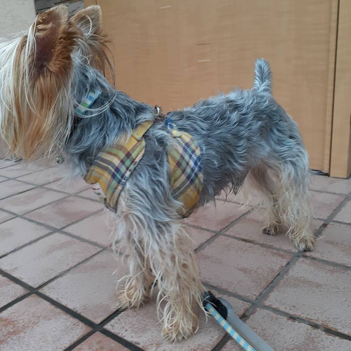 E87cae27 6428 4feb bb15 fb46ca71a1ad 1567118992044