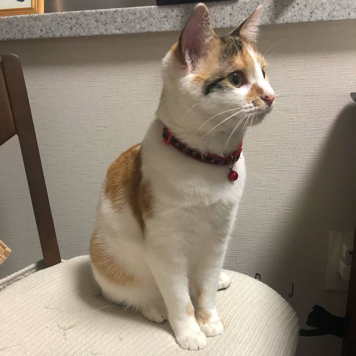 E87cb9b8 089c 4f11 be57 17737dc17d55 1583335112899